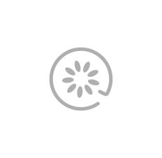 iceberg.de logo